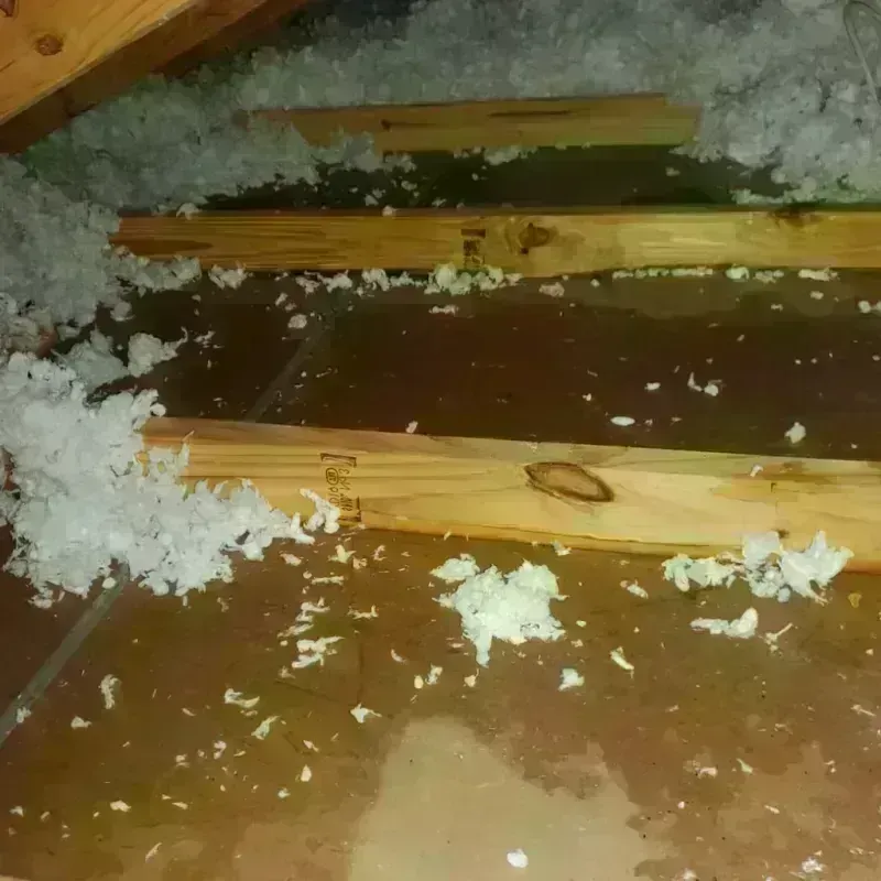 Attic Water Damage in Williamston, SC